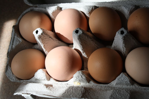 eggs