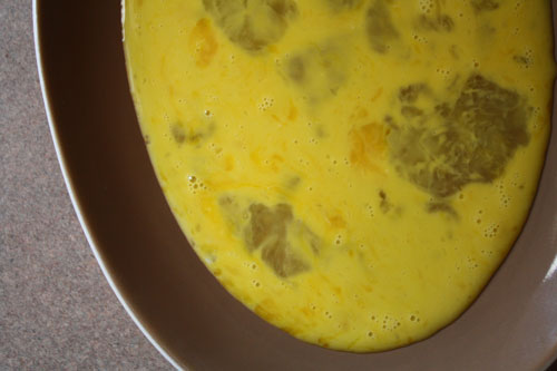 eggs