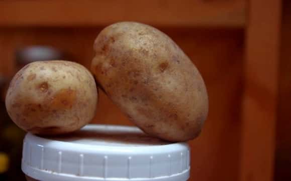 potatoes 001