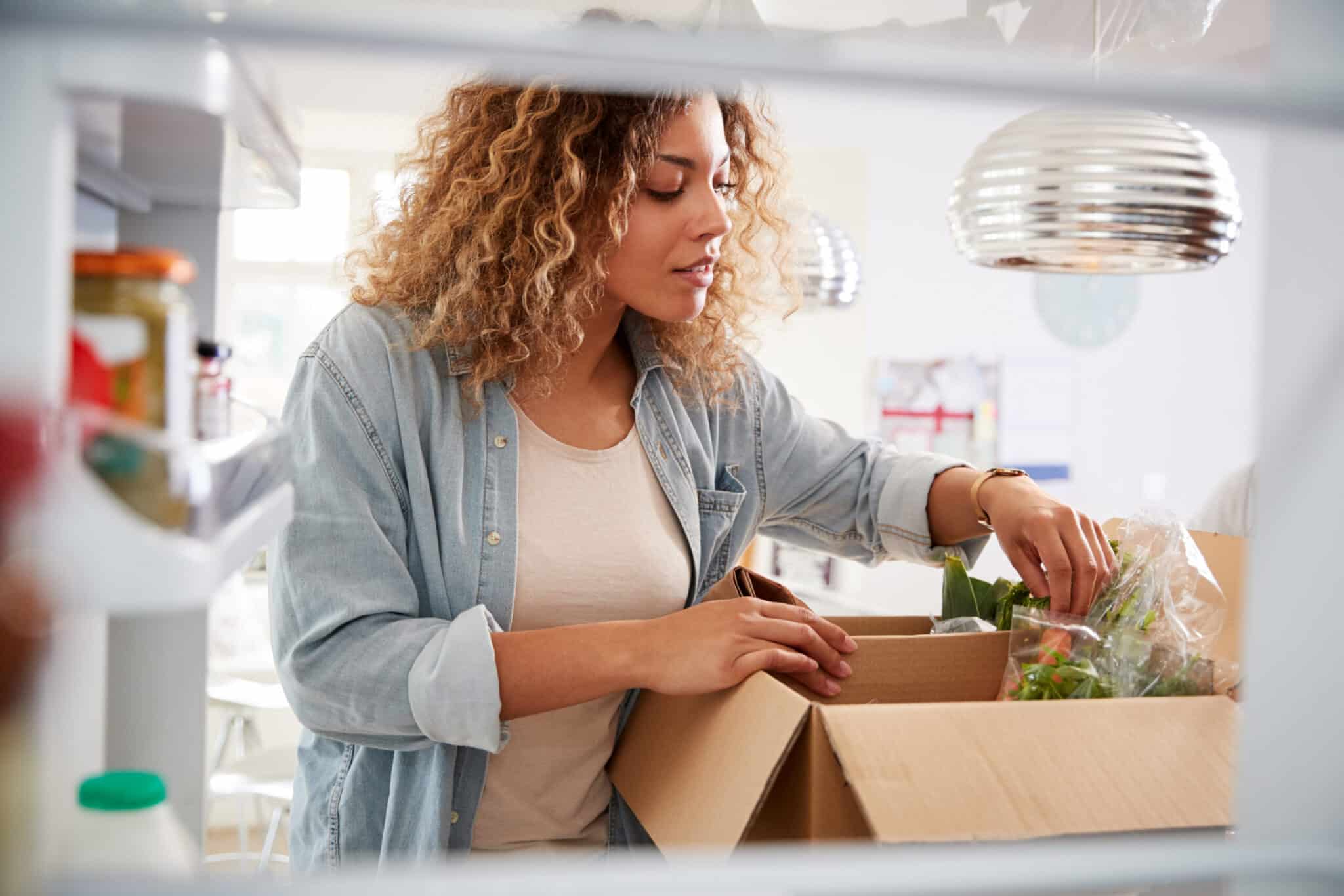 eMeals Review