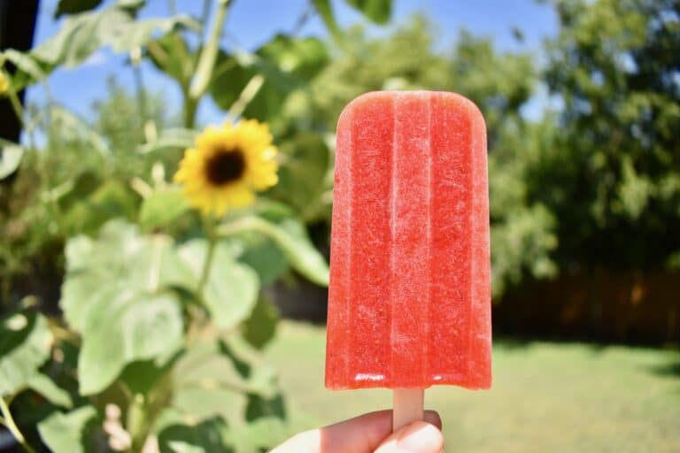 image of strawberry popsicle, outside with greenery and sunflowers in background