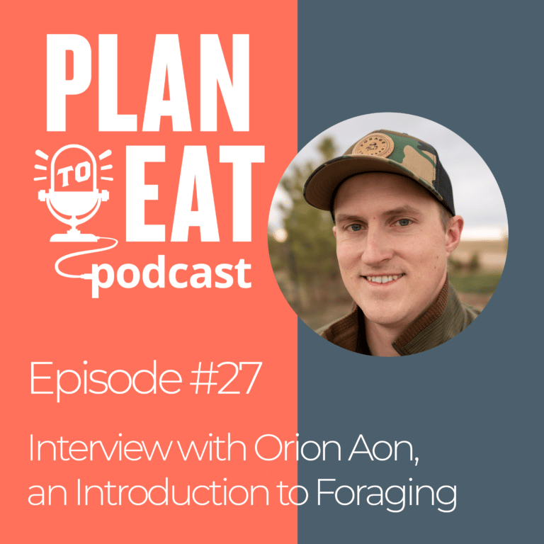 podcast episode 27 - orion aon interview