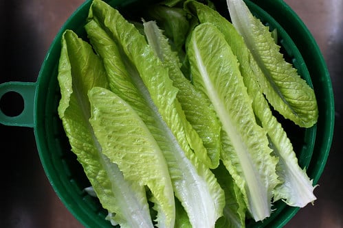 Lettuce