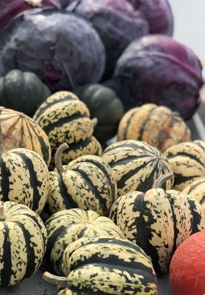 IMG_5230 gourds
