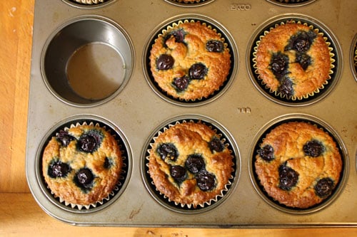 blueberry-muffins