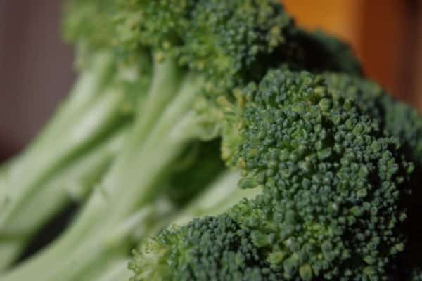 broccoli