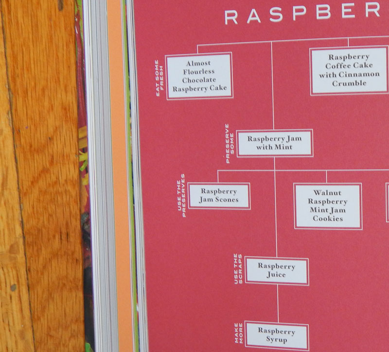 cladogram