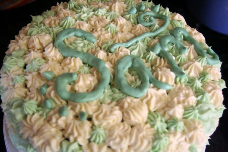 junkycake2