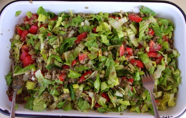 lentil salad