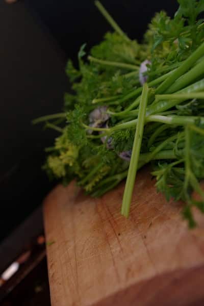 parsley