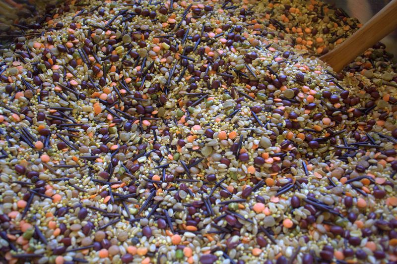 plantproteinpilaf1