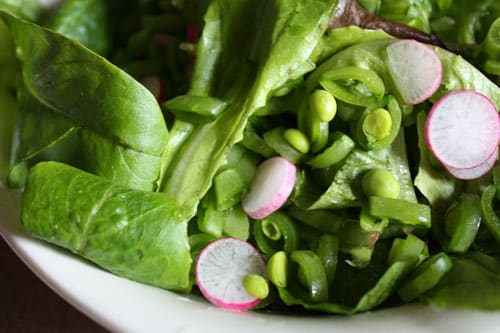 salad