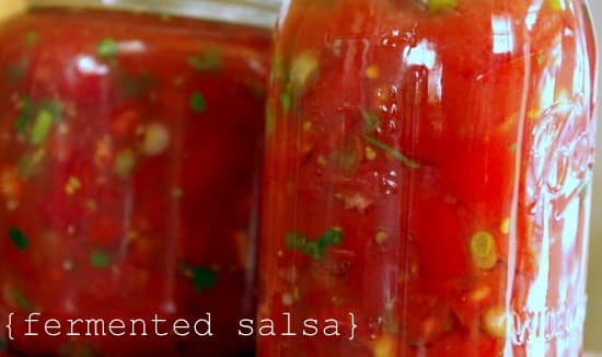 salsa2