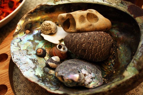 shells-to-share