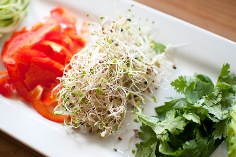 sprouts