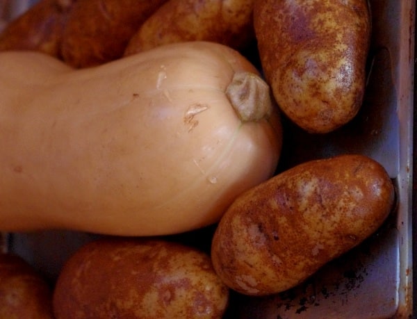 squashpots