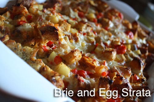 strata-in-the-pan