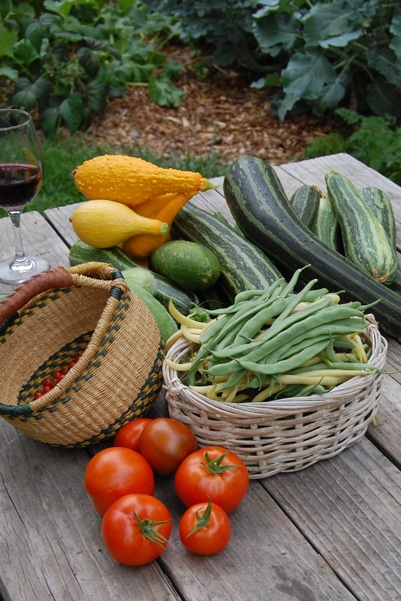 veg-cropped-small